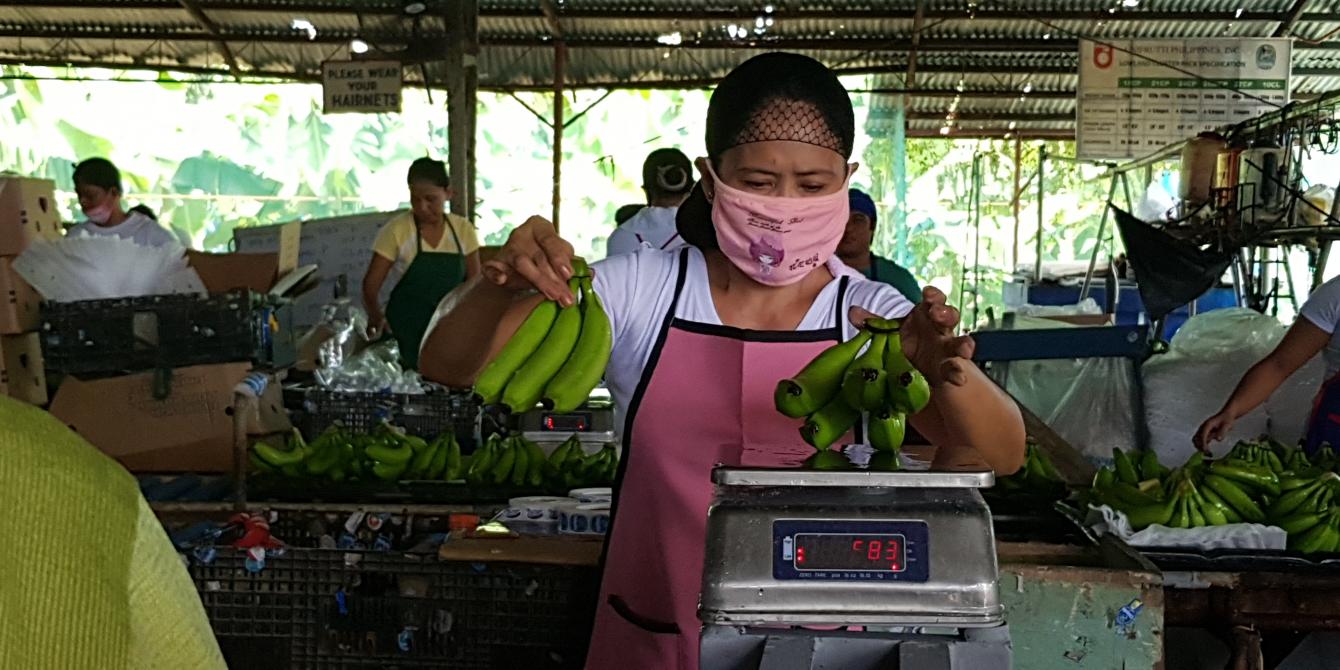 A worker weighs bananas in a packing plant in Davao de Oro. Most women in the banana farming industry work in these plants, each handling hundreds of trimmed banana clusters per day. (Photo: Dada Grifon/IDEALS) A worker weighs bananas in a packing plant in Davao de Oro. Most women in the banana farming industry work in these plants, each handling hundreds of trimmed banana clusters per day. (Photo: Dada Grifon/IDEALS)